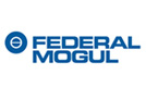 Federal Mogul